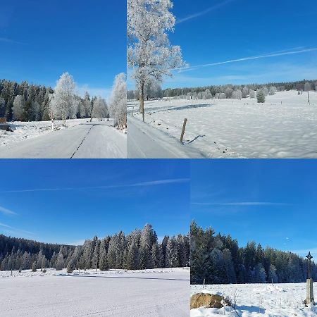 Kvilda! Apartmán Terezka Apartman Kültér fotó