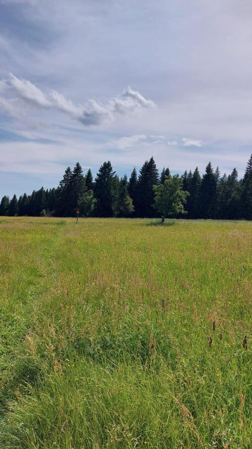 Kvilda! Apartmán Terezka Apartman Kültér fotó
